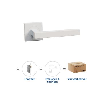 HSP2041