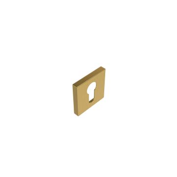 QUADCILIREG01MMS