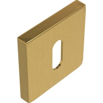 QUADSLEUREG01MMS