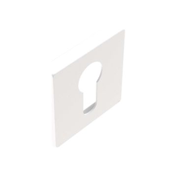 SQUACILIREG01WIT
